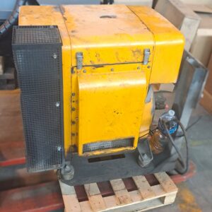 MOTORE HATZ USATO - ANNO 2020